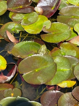 Granada, Spain Andalusia